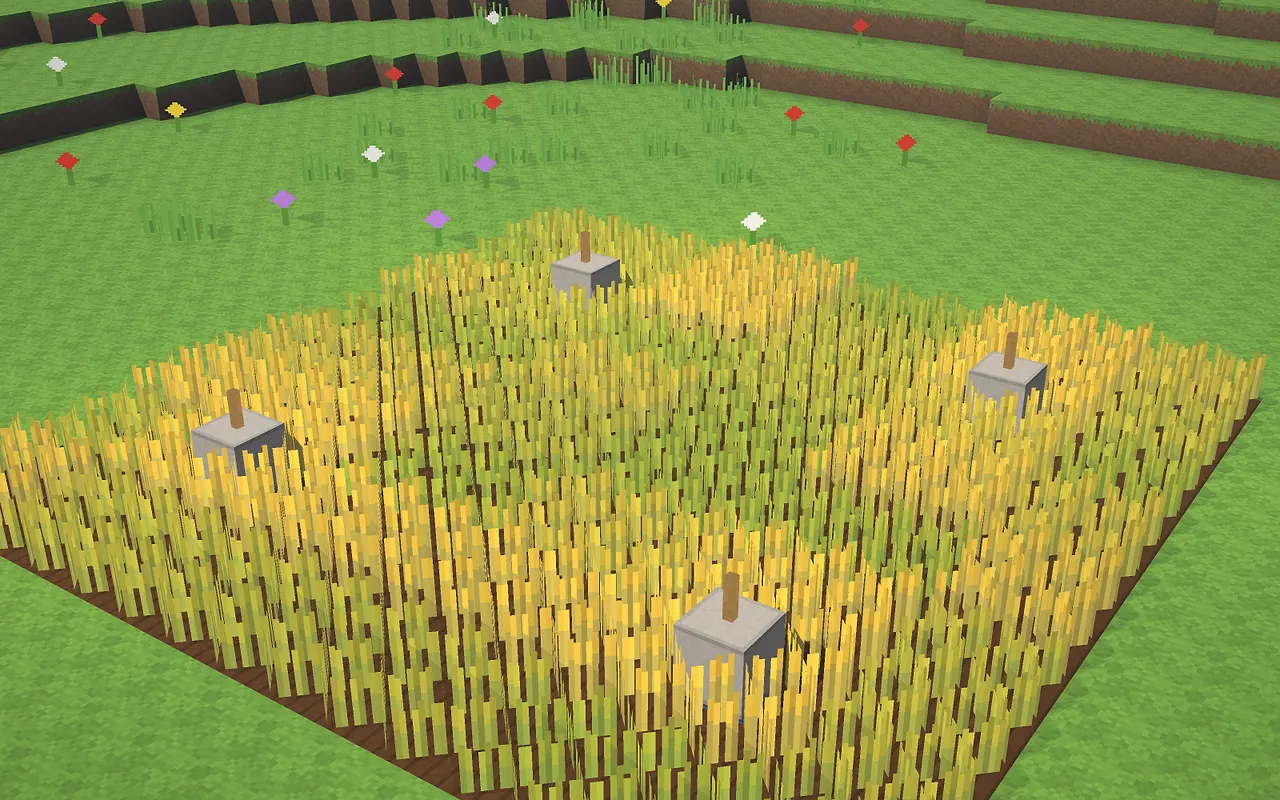 Farm